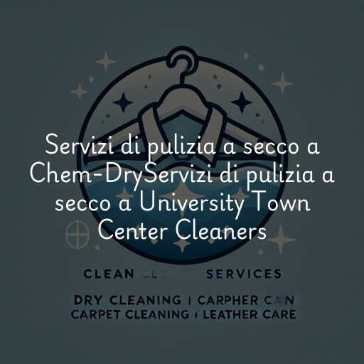Servizi di pulizia a secco a