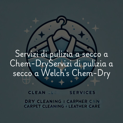 Servizi di pulizia a secco a
