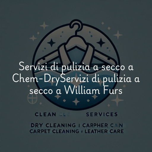 Servizi di pulizia a secco a