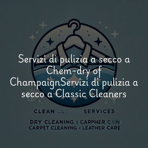 Servizi di pulizia a secco a