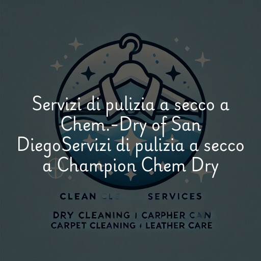 Servizi di pulizia a secco a