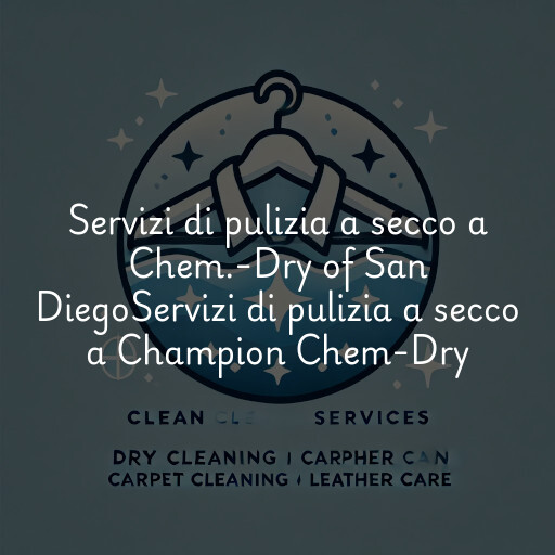 Servizi di pulizia a secco a