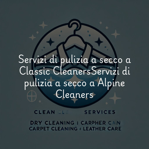 Servizi di pulizia a secco a