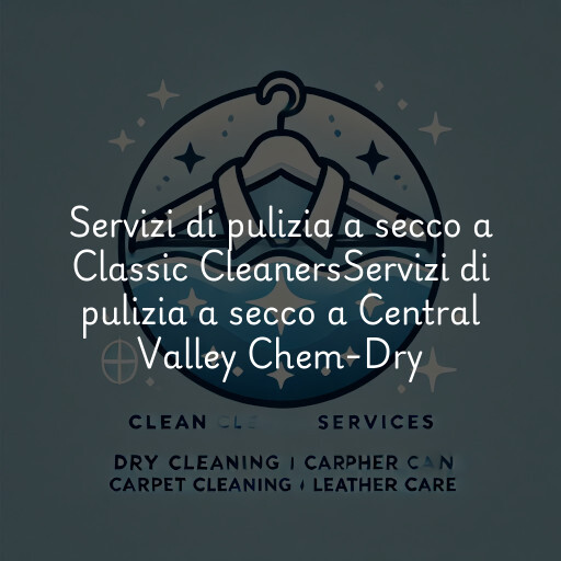 Servizi di pulizia a secco a