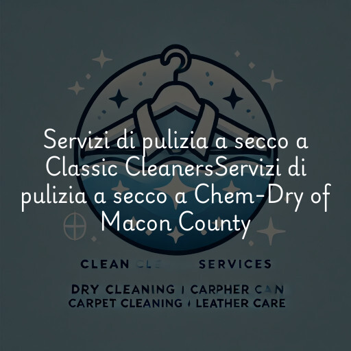 Servizi di pulizia a secco a