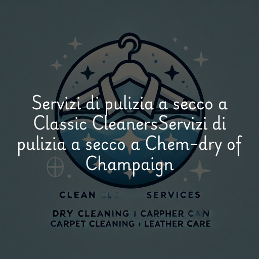 Servizi di pulizia a secco a