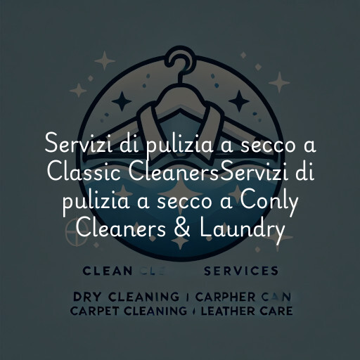 Servizi di pulizia a secco a