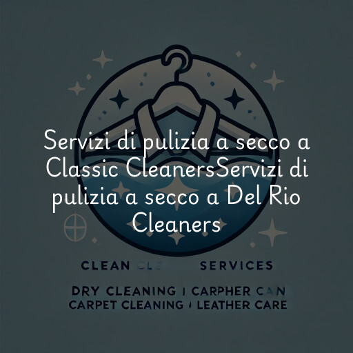 Servizi di pulizia a secco a