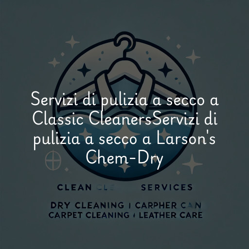 Servizi di pulizia a secco a