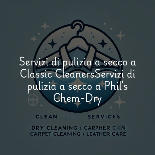 Servizi di pulizia a secco a