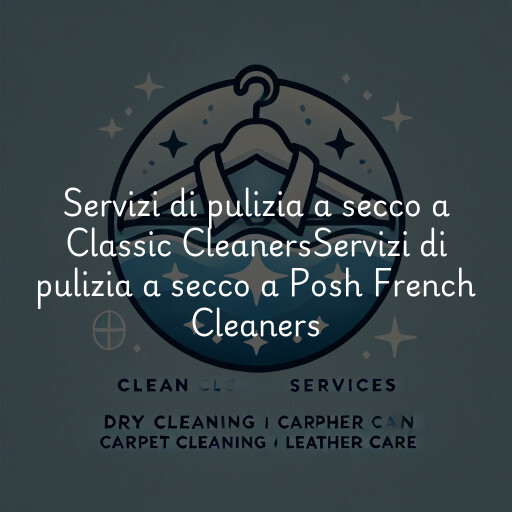 Servizi di pulizia a secco a