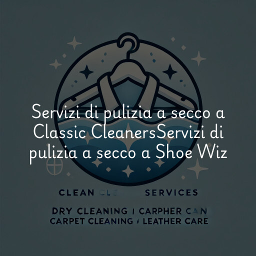 Servizi di pulizia a secco a