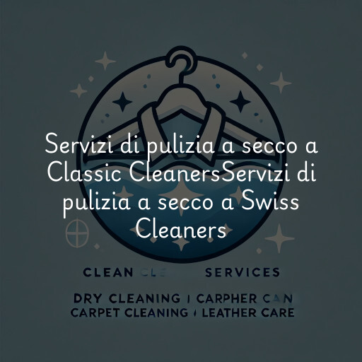 Servizi di pulizia a secco a