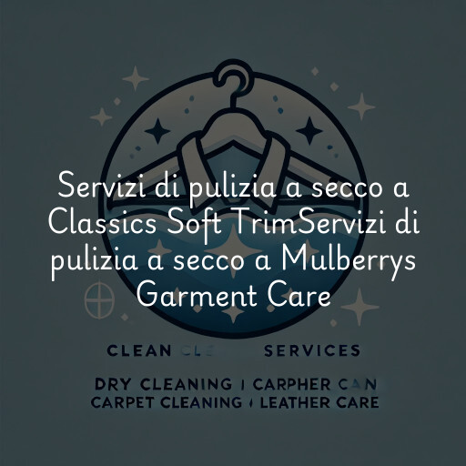 Servizi di pulizia a secco a