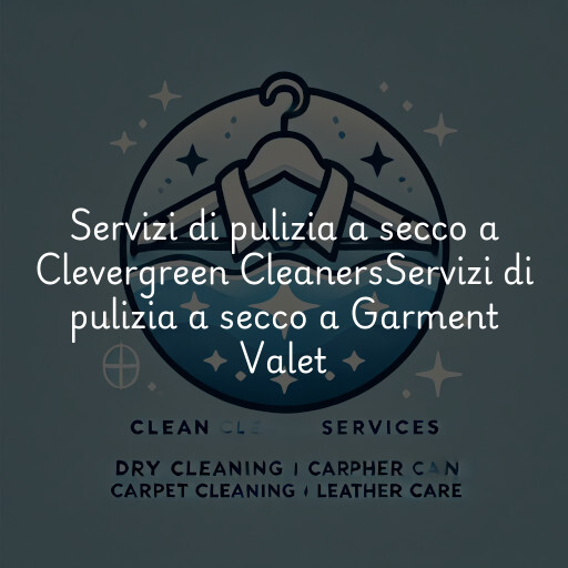 Servizi di pulizia a secco a