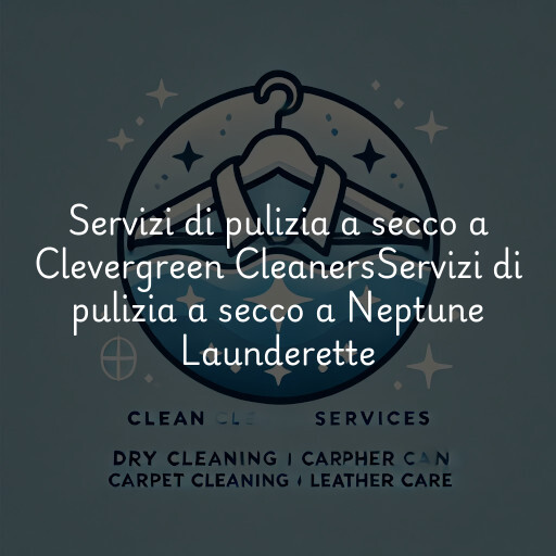 Servizi di pulizia a secco a