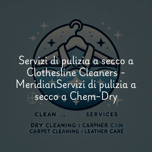 Servizi di pulizia a secco a