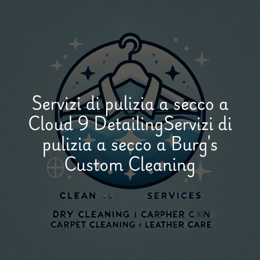Servizi di pulizia a secco a