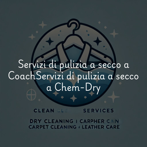 Servizi di pulizia a secco a