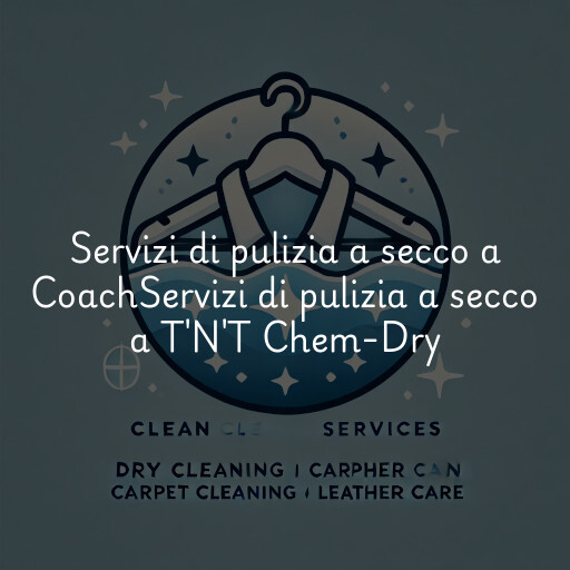 Servizi di pulizia a secco a