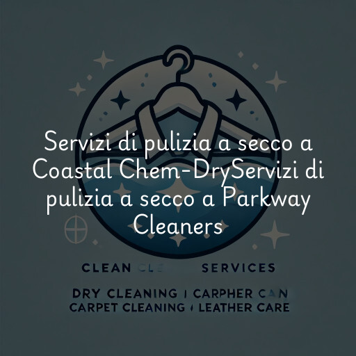 Servizi di pulizia a secco a