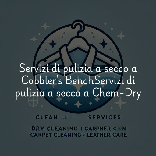 Servizi di pulizia a secco a