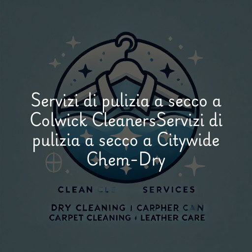 Servizi di pulizia a secco a