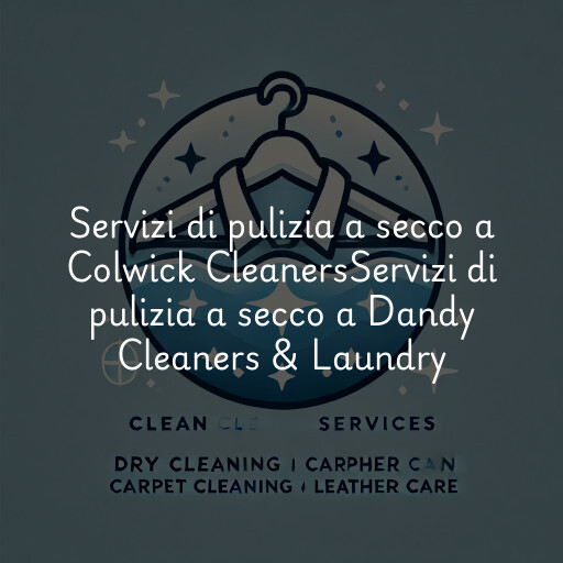 Servizi di pulizia a secco a