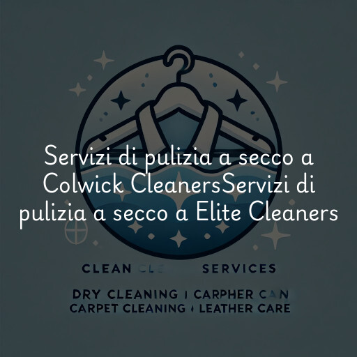Servizi di pulizia a secco a