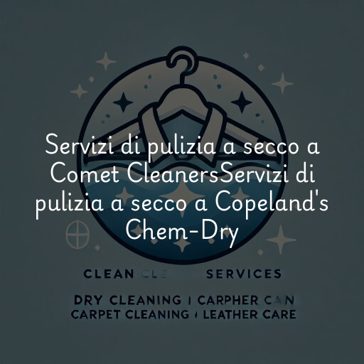 Servizi di pulizia a secco a