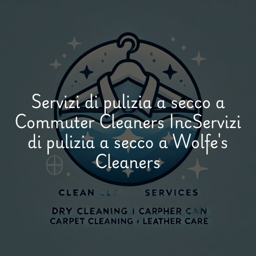 Servizi di pulizia a secco a