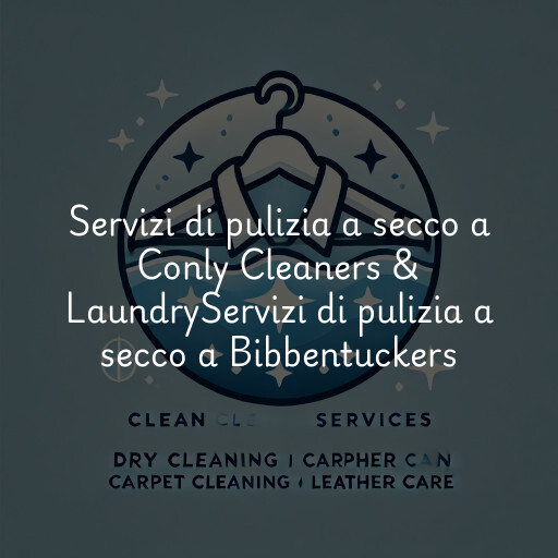 Servizi di pulizia a secco a