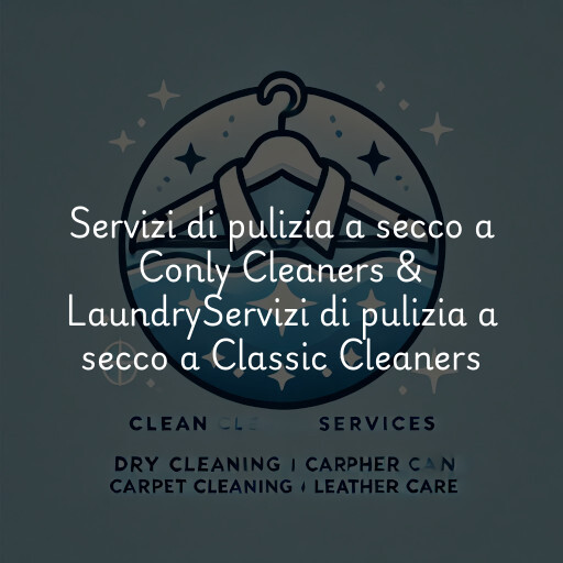 Servizi di pulizia a secco a