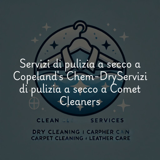 Servizi di pulizia a secco a