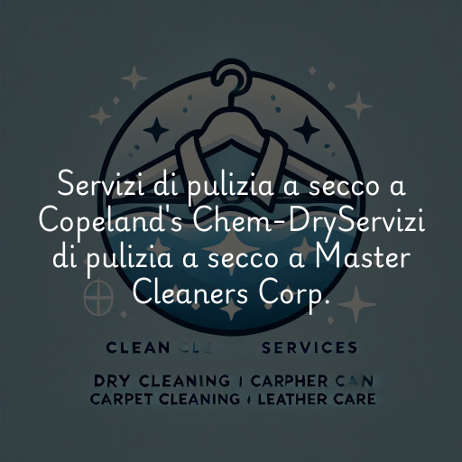 Servizi di pulizia a secco a