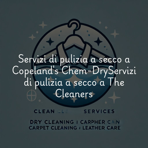 Servizi di pulizia a secco a