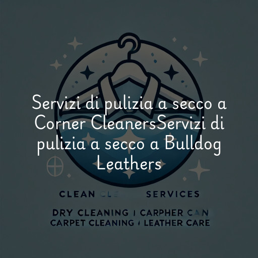 Servizi di pulizia a secco a