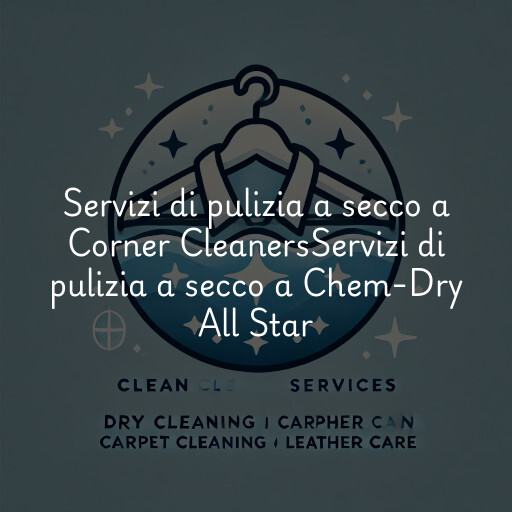 Servizi di pulizia a secco a