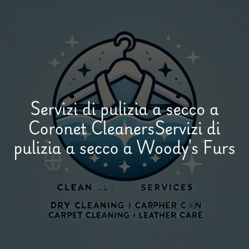 Servizi di pulizia a secco a