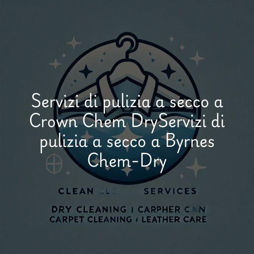 Servizi di pulizia a secco a