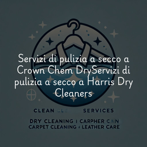 Servizi di pulizia a secco a