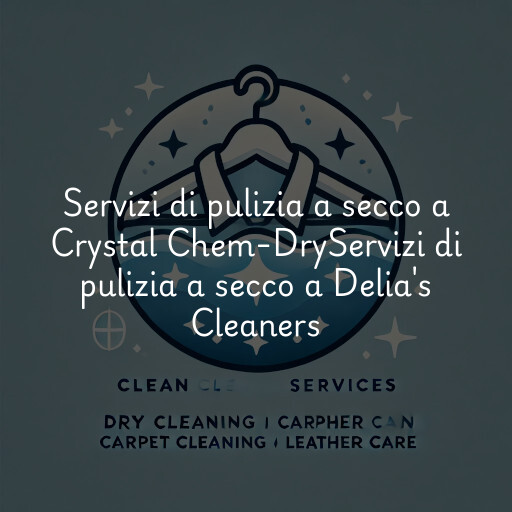 Servizi di pulizia a secco a