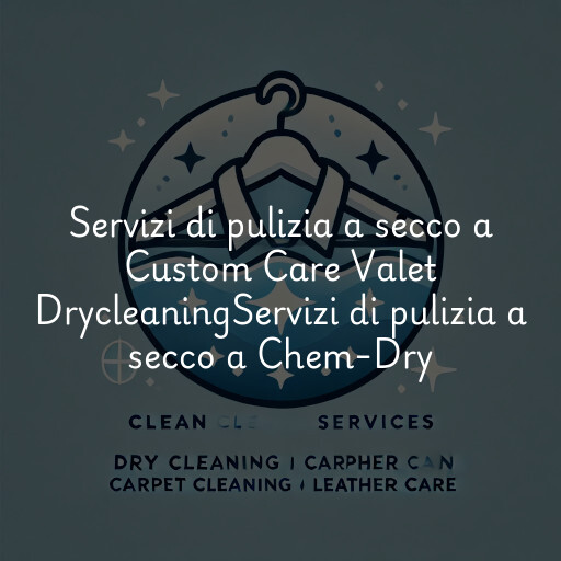 Servizi di pulizia a secco a