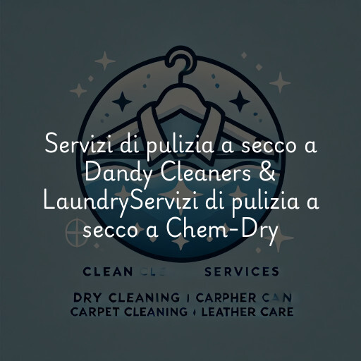 Servizi di pulizia a secco a