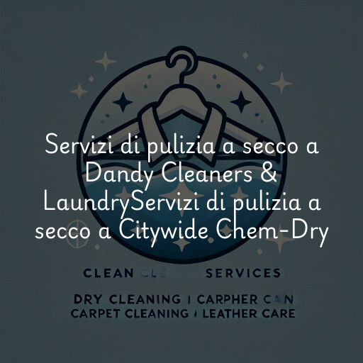 Servizi di pulizia a secco a