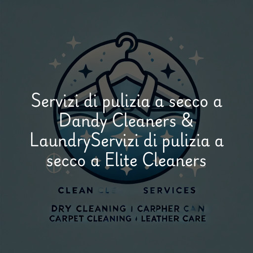 Servizi di pulizia a secco a
