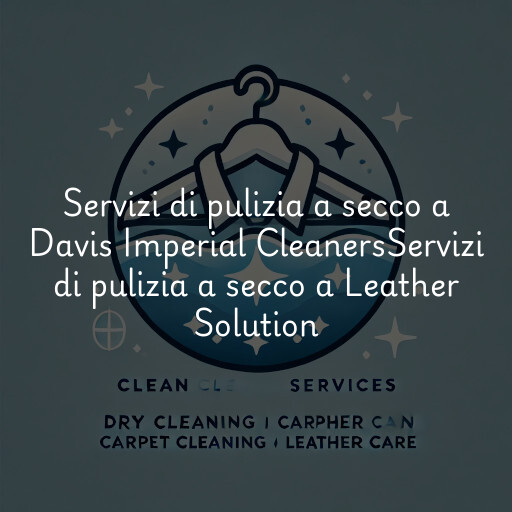 Servizi di pulizia a secco a