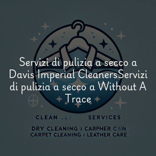 Servizi di pulizia a secco a