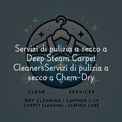 Servizi di pulizia a secco a