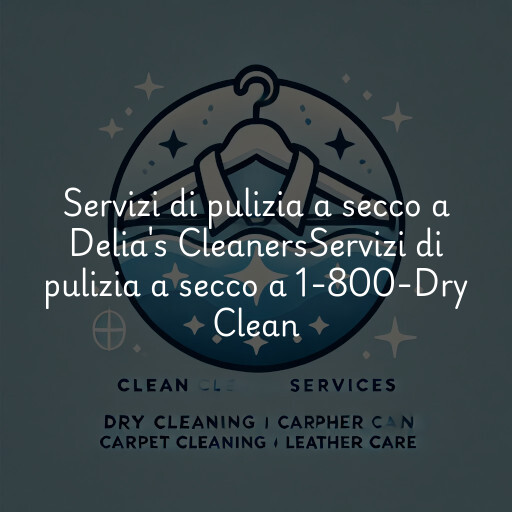 Servizi di pulizia a secco a